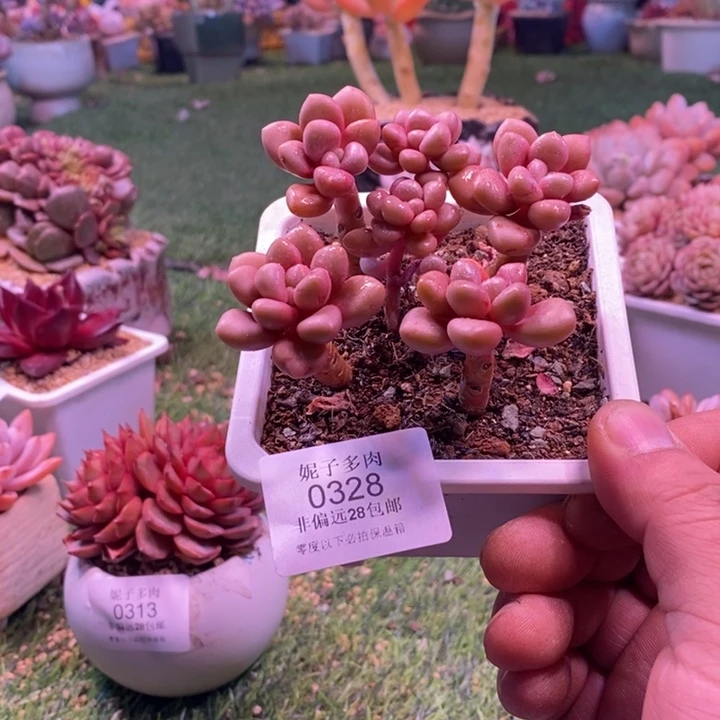 0325啊啊啊啊啊啊啊啊啊啊