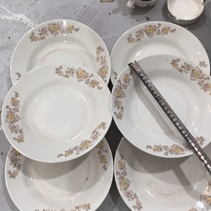 瓷片四厂力力强化瓷深盘六个