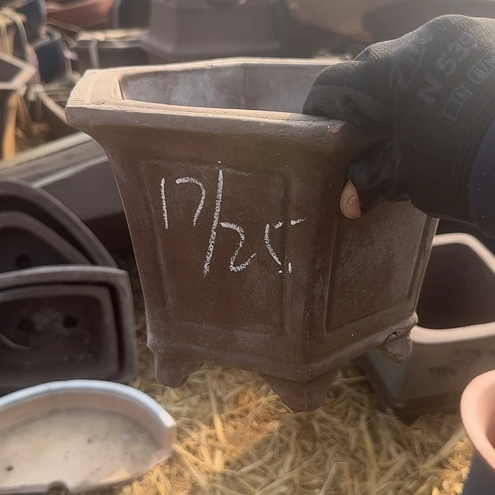 紫砂杯及红石奖最佳奖