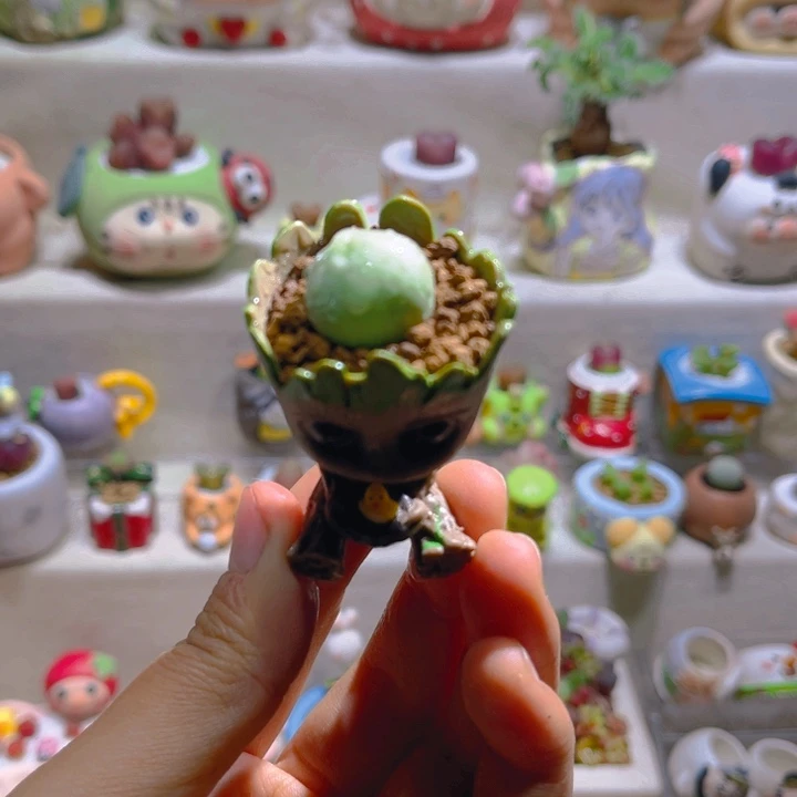 012鸽子蛋带盆土一套19