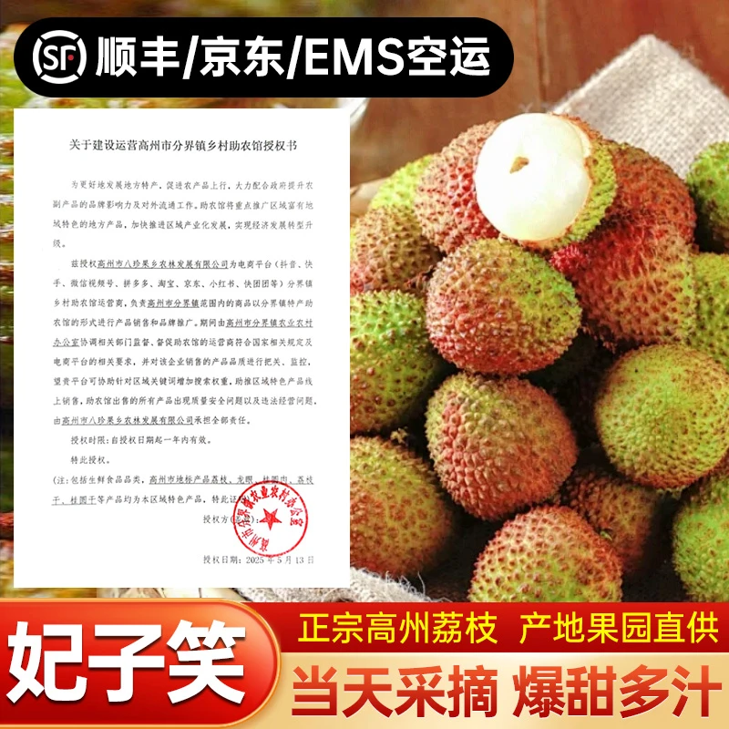 【老树头茬高州妃子笑荔枝】树熟新鲜现摘当季水果香甜饱满肉厚核小3斤5斤10斤广东省