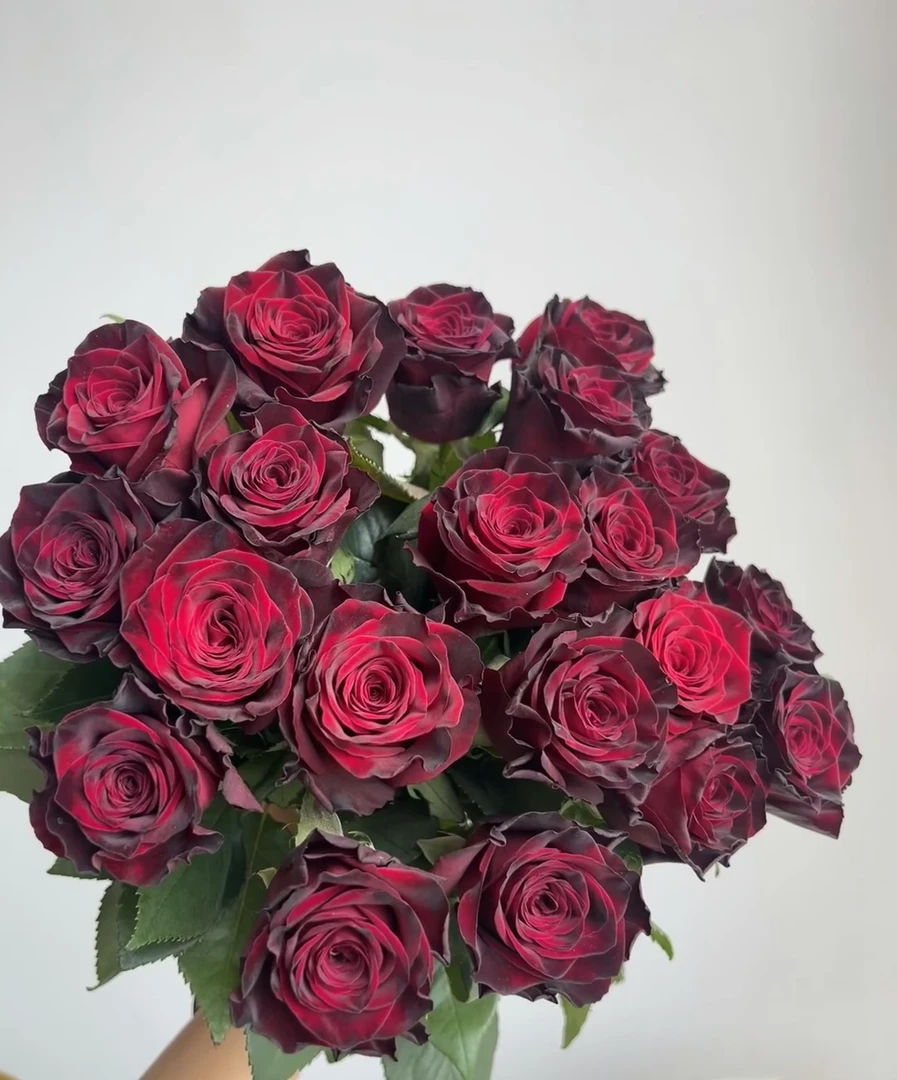 （冷链发货 ）全露天一物一拍小三加