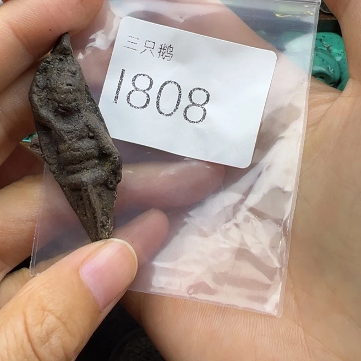 胡***叔吊坠菩提根/象牙果