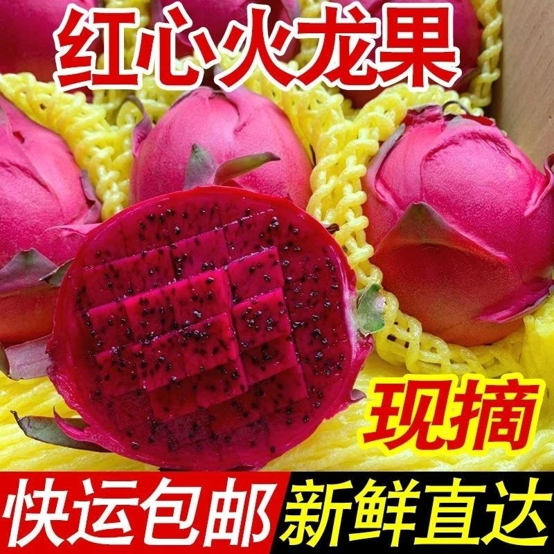 金都一号红心火龙果3-5斤整箱大果新鲜当季红肉密宝水果包邮