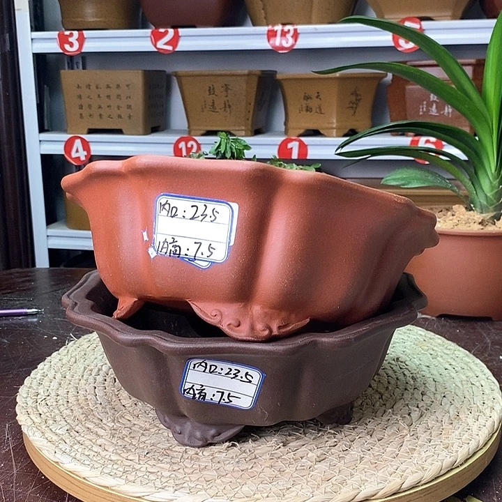 紫砂花盆今天下午