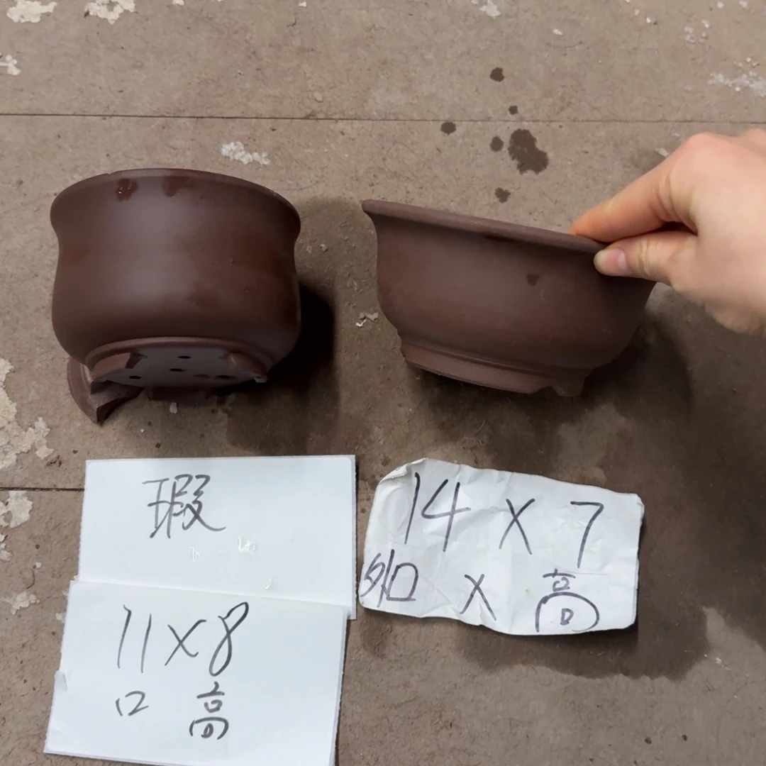 紫砂精品破损包赔