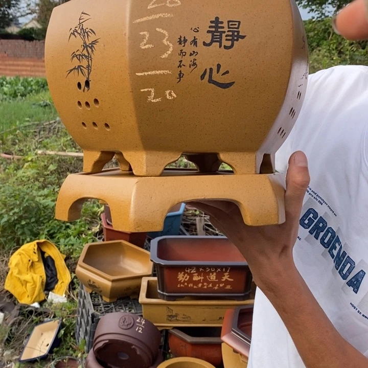 紫砂花盆没有什么不可以的事情