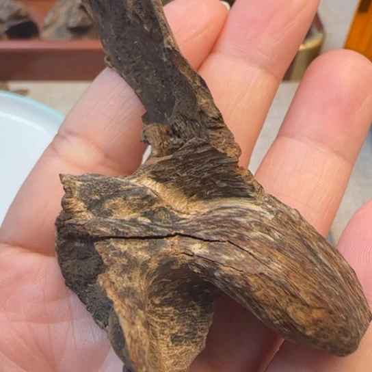 沉香摆件老香港扭结壳子7.1克沉水