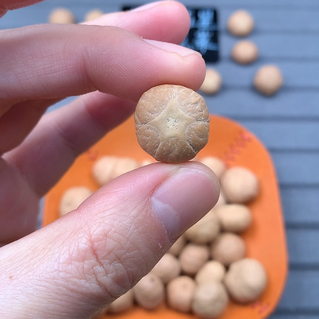 吊坠凤眼菩提18+五星，非质量问题开孔不退