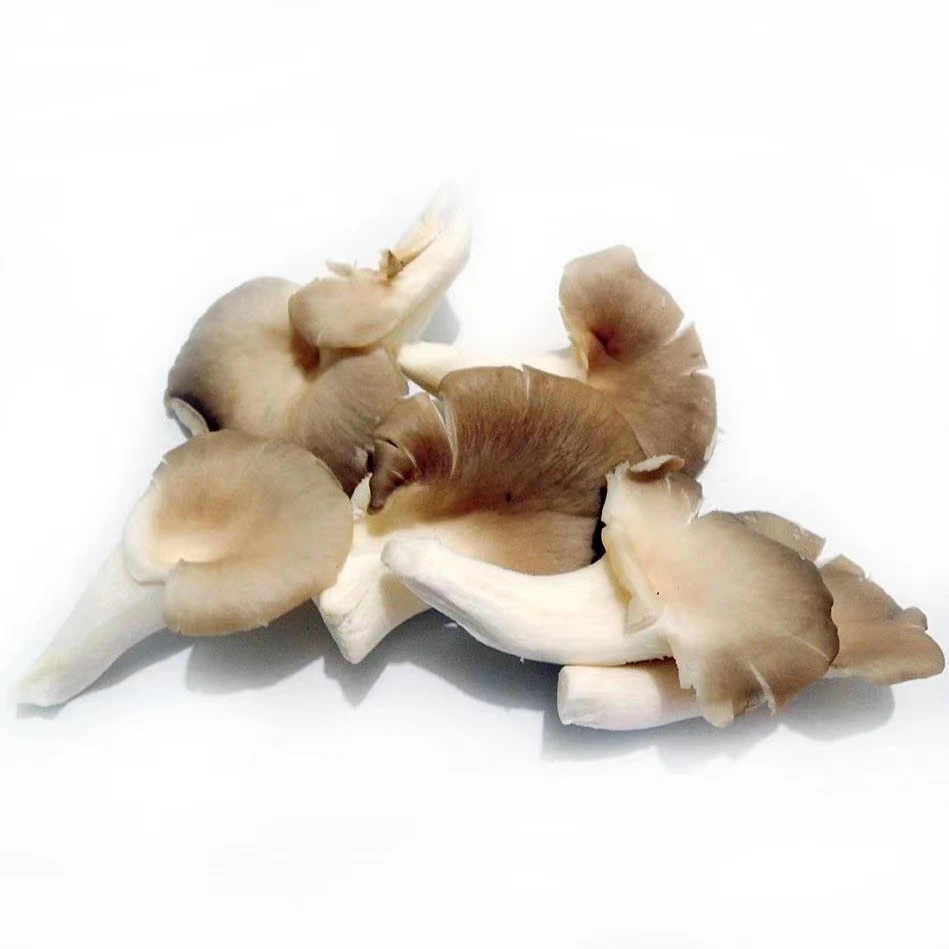 新鲜秀珍菇 250g/份