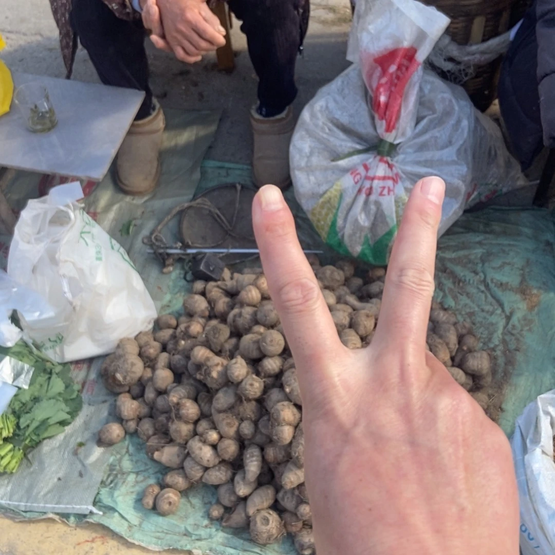 芋头1g3斤农家芋头