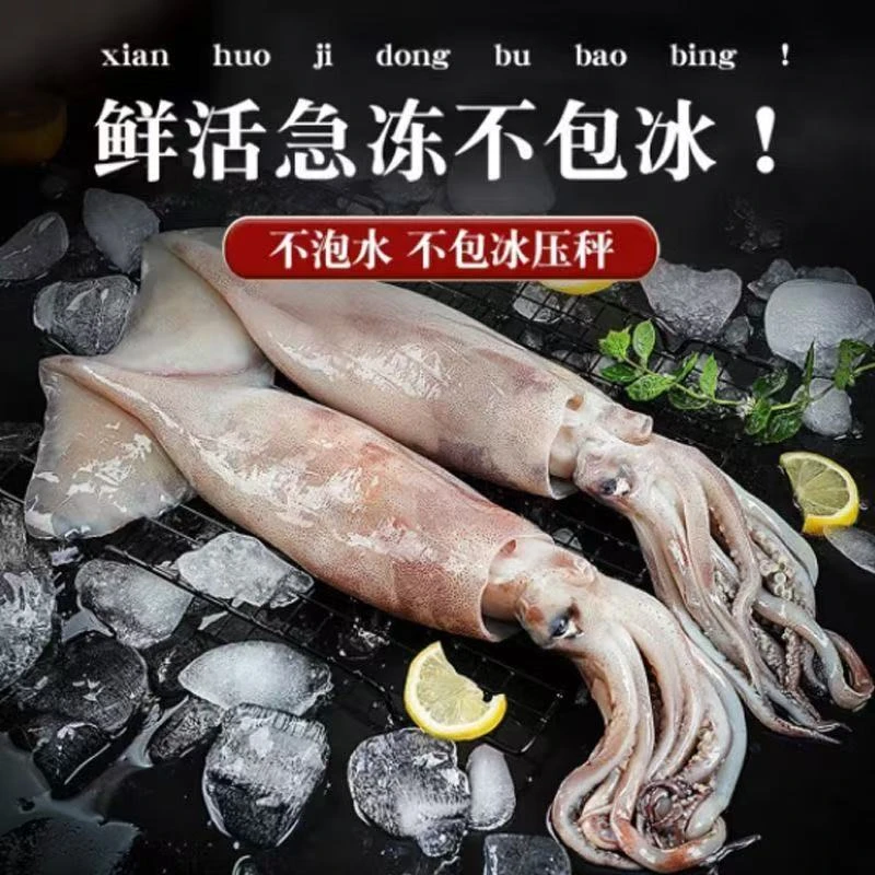 【大窑】原浆野生大鱿鱼5斤/份 顺丰京东包邮