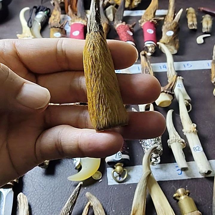 鸿乐堂直播间选货