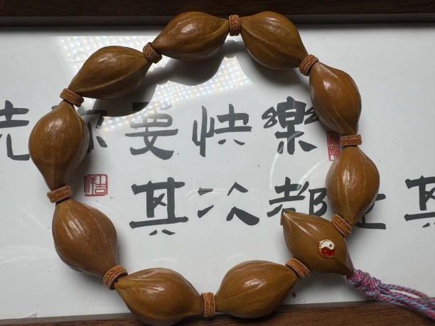 1.7铁核原皮素串