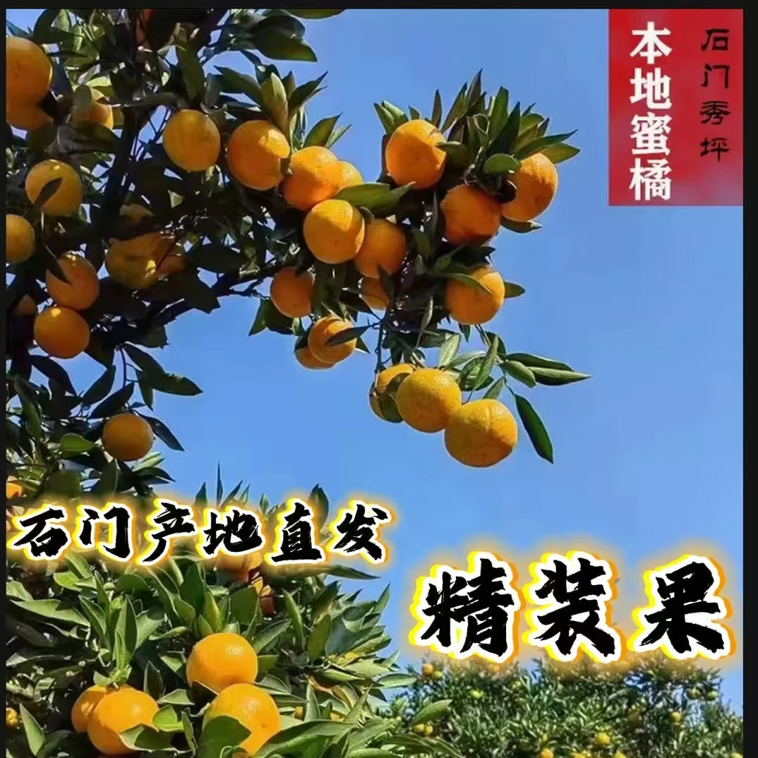 湖南石门秀坪蜜桔 酸甜多汁 现采现发 5斤/9斤