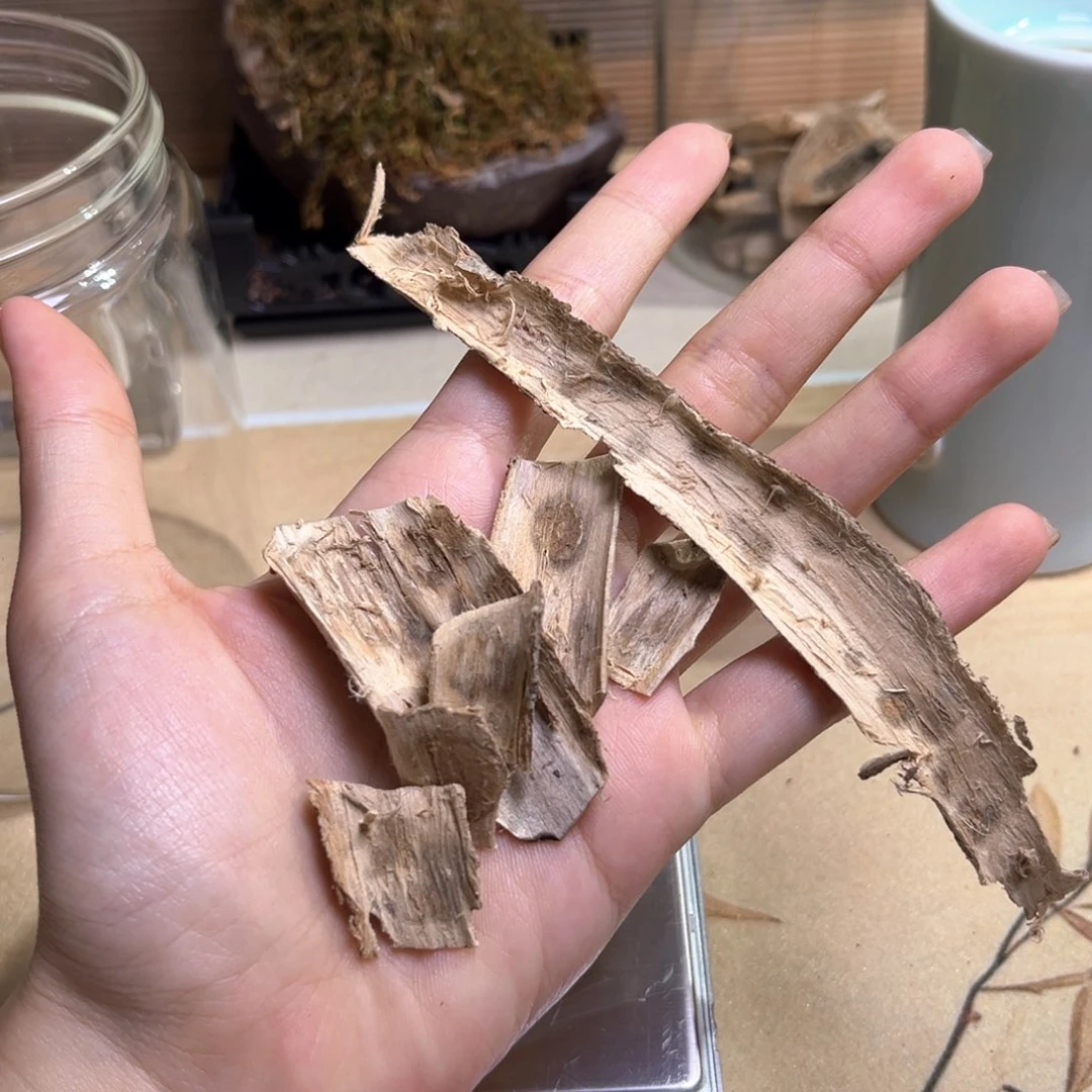香榧木广西虎斑棋树皮3.2克重福利