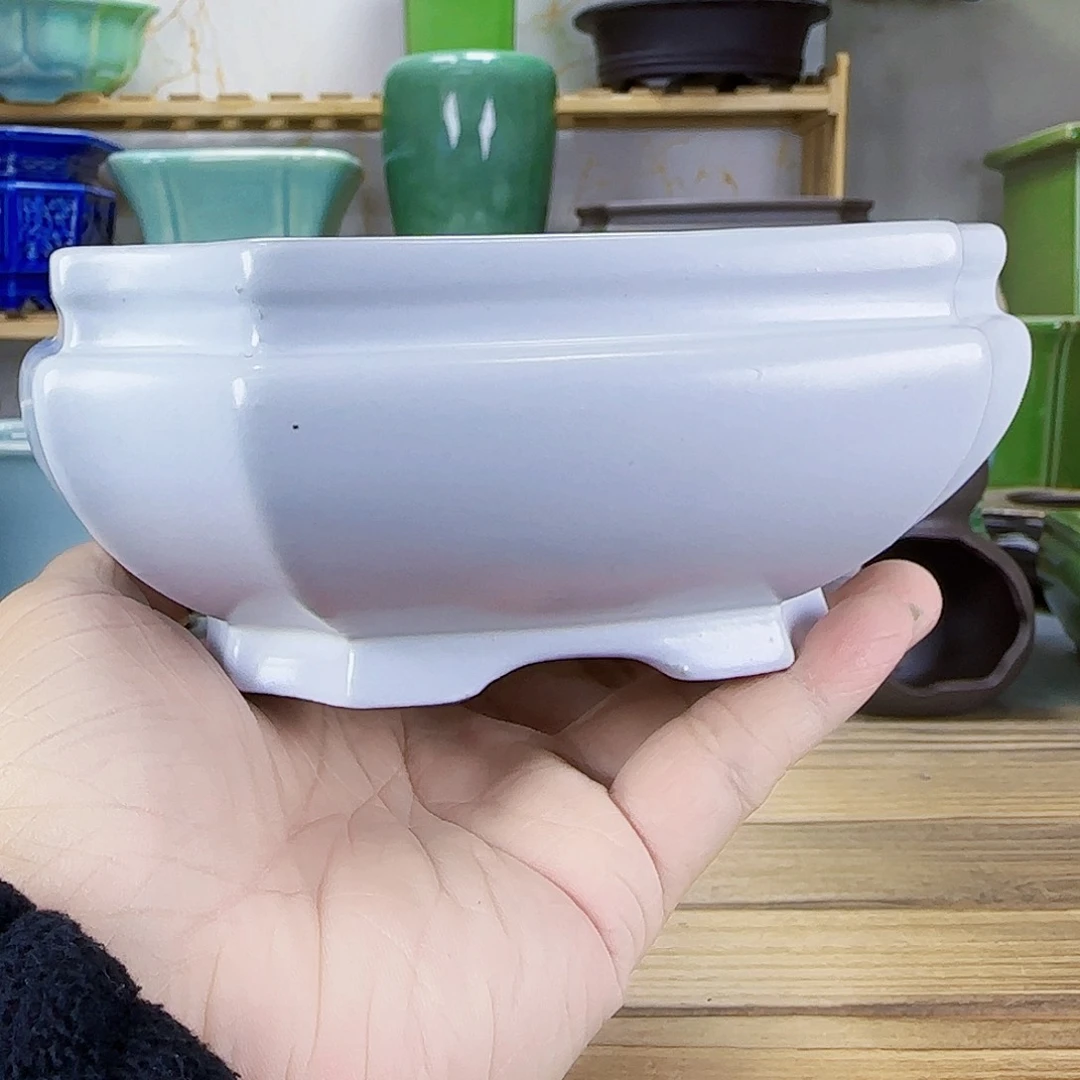 陶瓷花盆特价上新