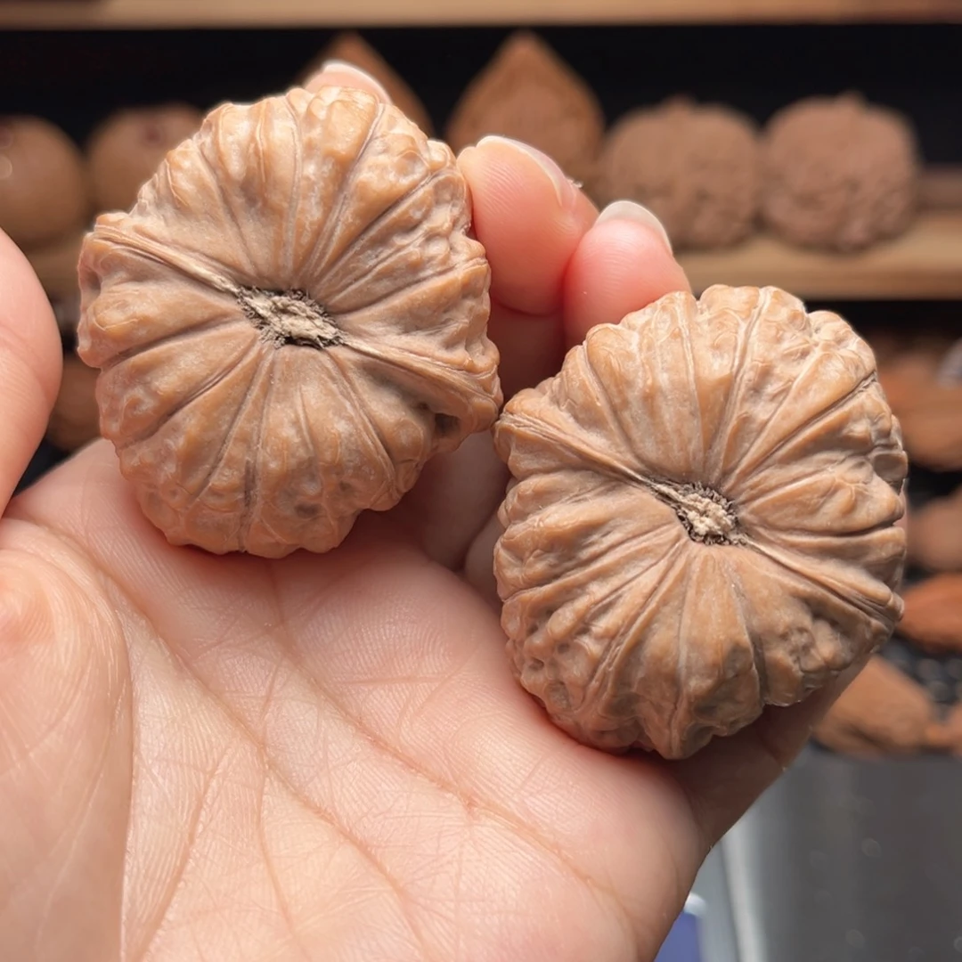 文玩核桃南瓜饼40边44肚