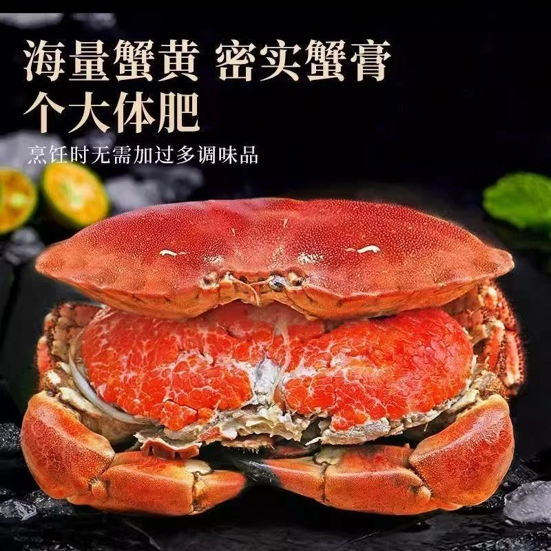 鲜活熟冻大号面包蟹