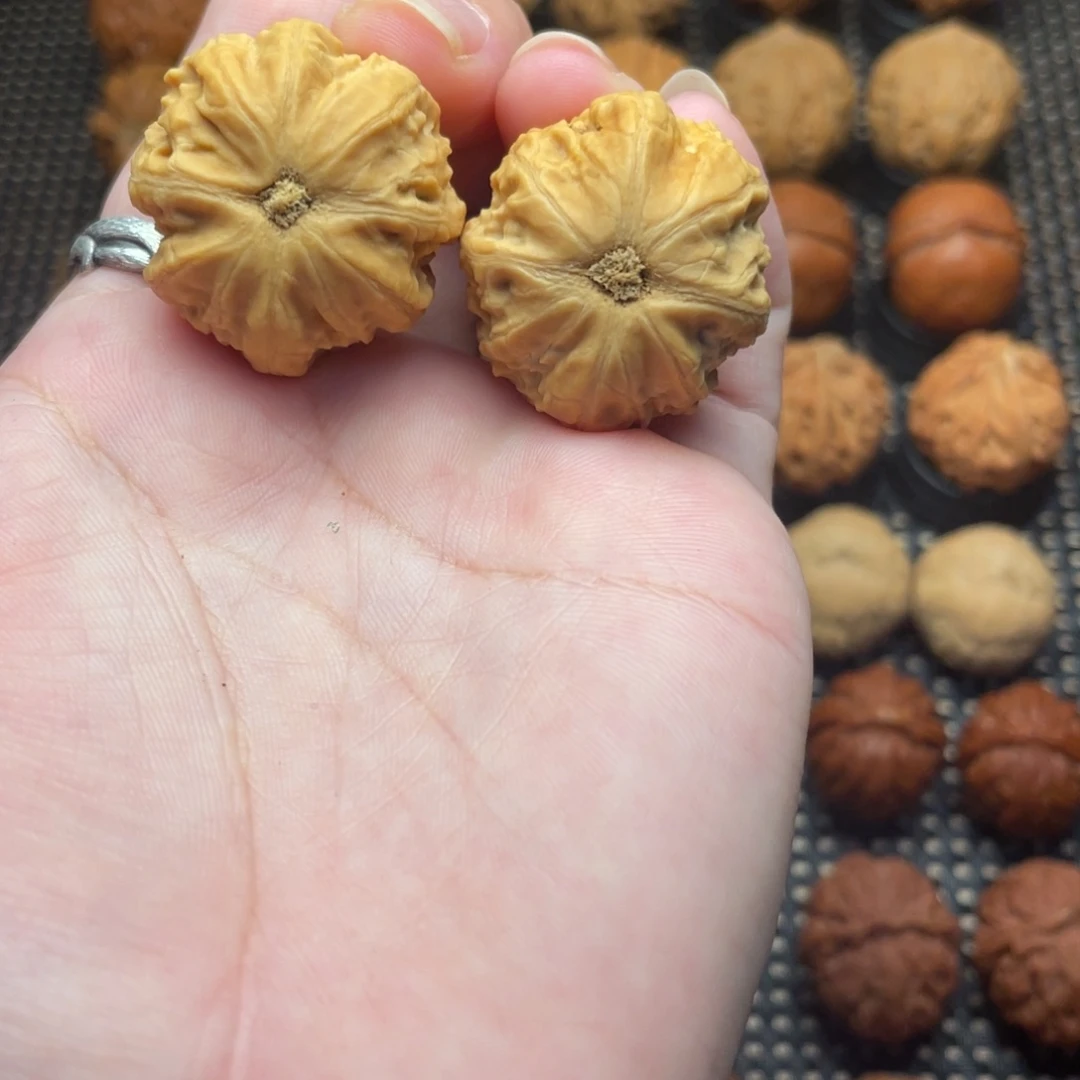 文玩把件粗筋小红帽