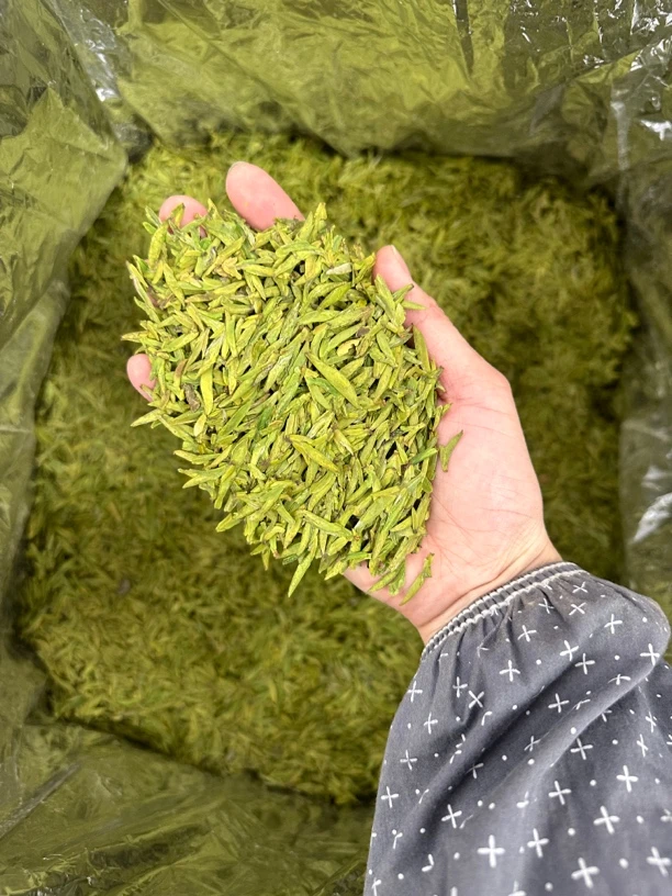 25新茶 2-1-6半明前龙井嫩芽绿茶鲜爽回甘豆香清香型（精品杯）