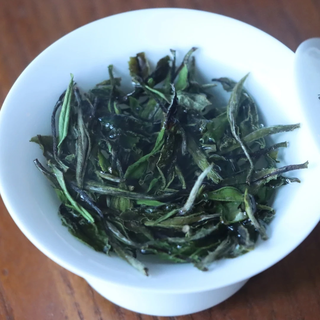 2025政和荒野牡丹王