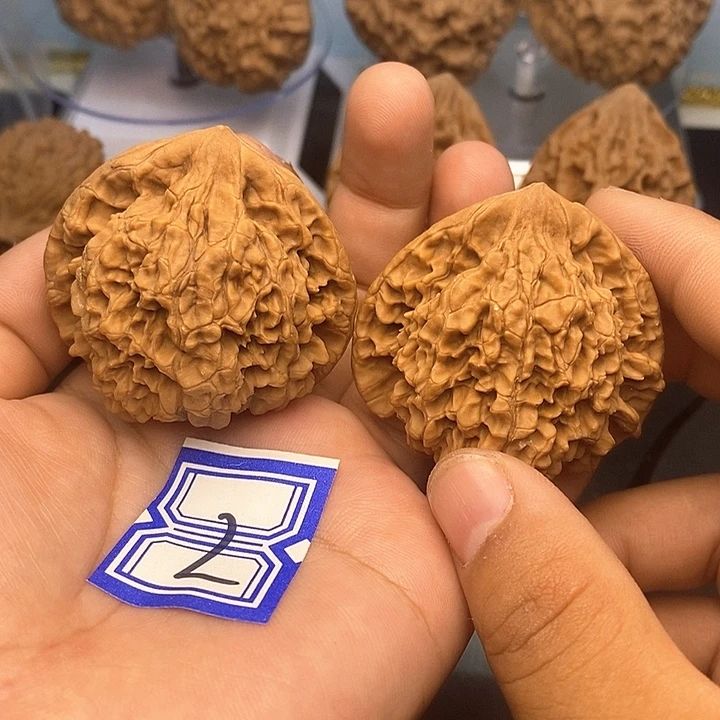 把件文玩核桃48官帽