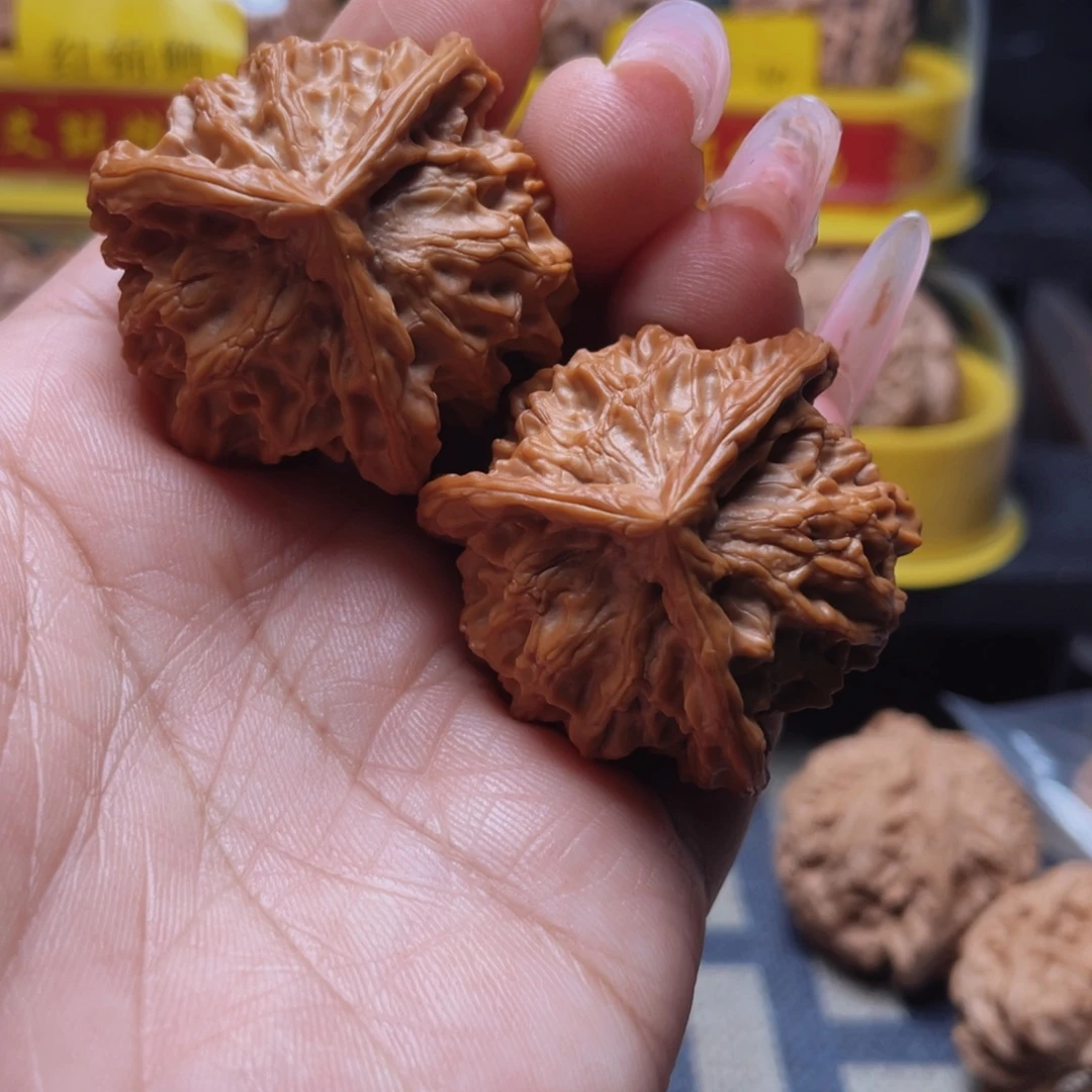 核桃39盘山公子帽三棱