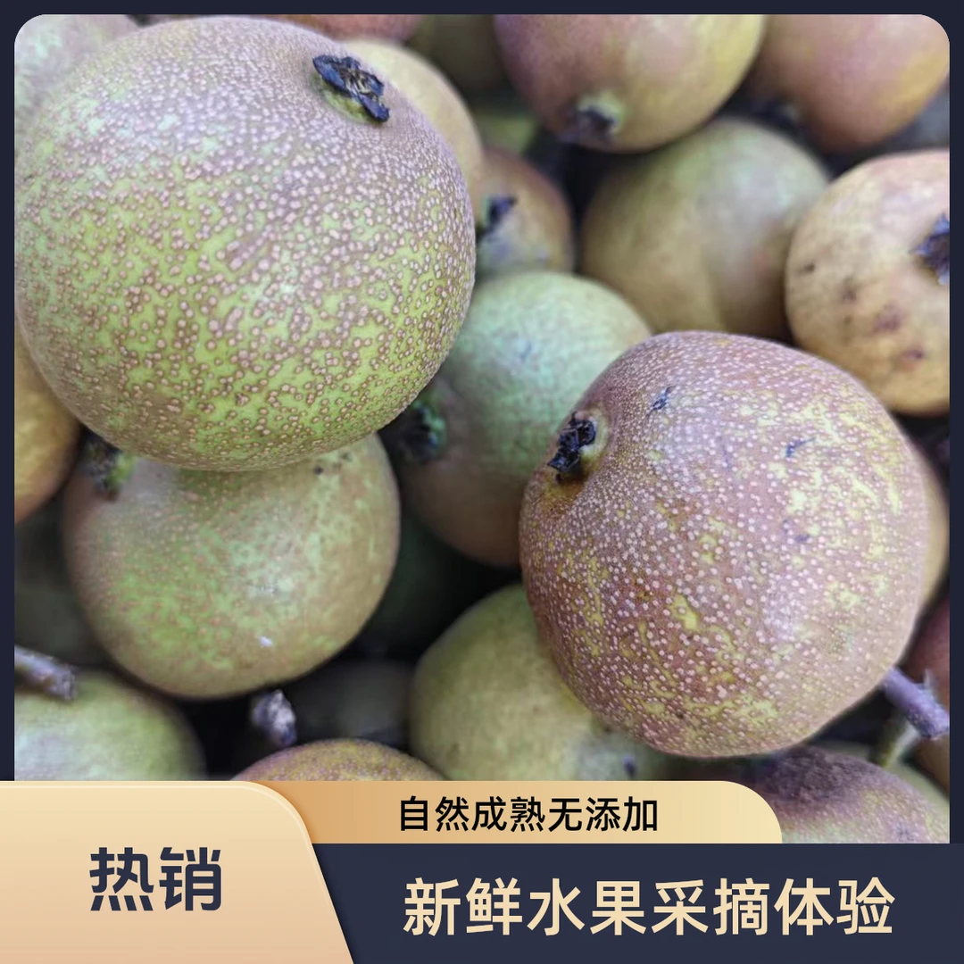 东北原生态山梨酸甜可口多规格可选