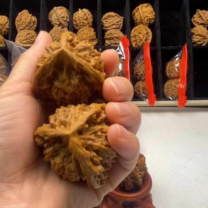花***鱼无花朵爆单爆单哈哈哈