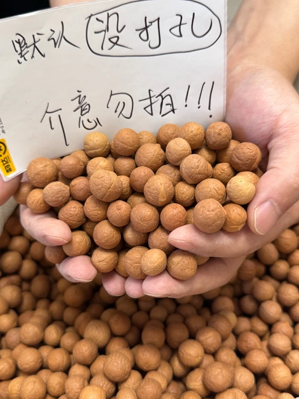 尼泊尔凤眼菩提散籽110粒左右（未打孔）