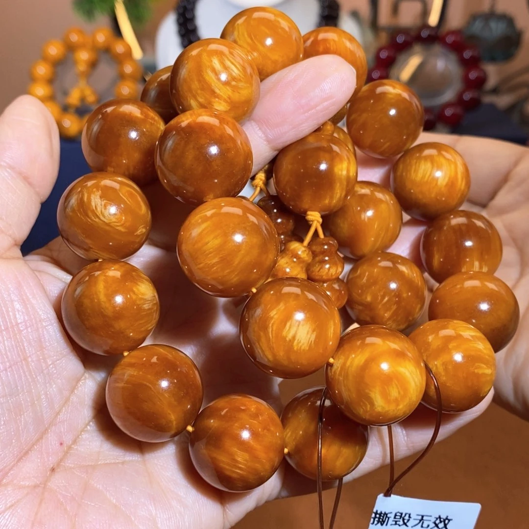 贝壳杉帝王血龙木2.0糖心2条