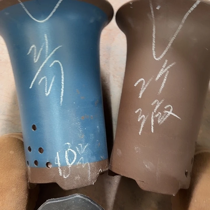10号，………………………………………………