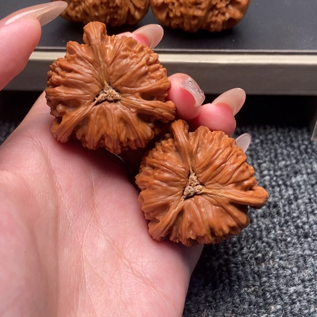 大***个木质类白狮子正奔