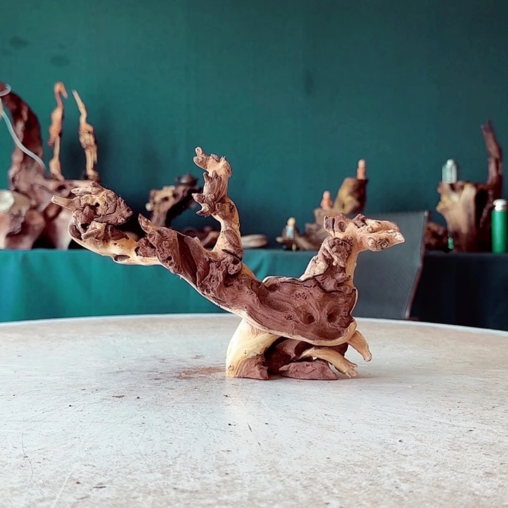 小***壳金丝檀325 金丝红木羊蹄甲半成品