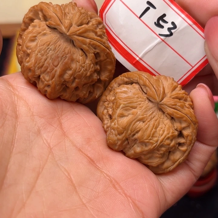 文玩核桃手串41.5全品粗筋白狮子蛇53