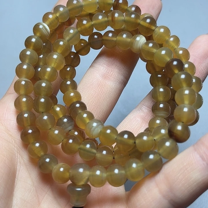 大果紫檀（缅甸花梨）