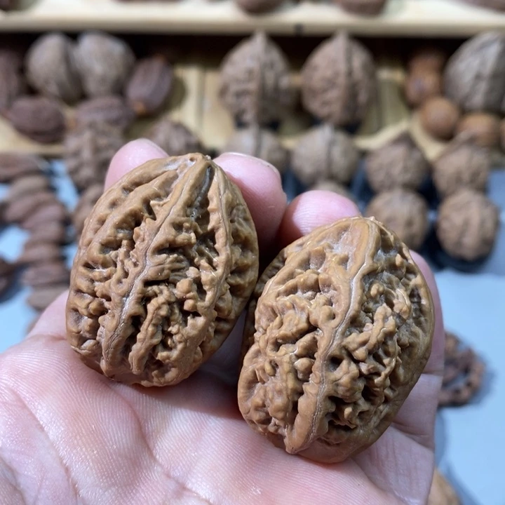 文玩核桃把件老树珊瑚纹