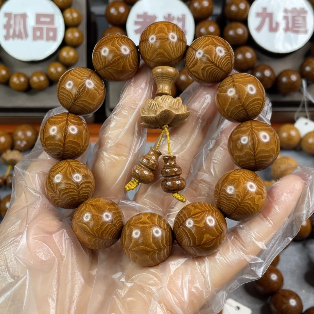 六道木鑫****子陈化料， 毕业2.0