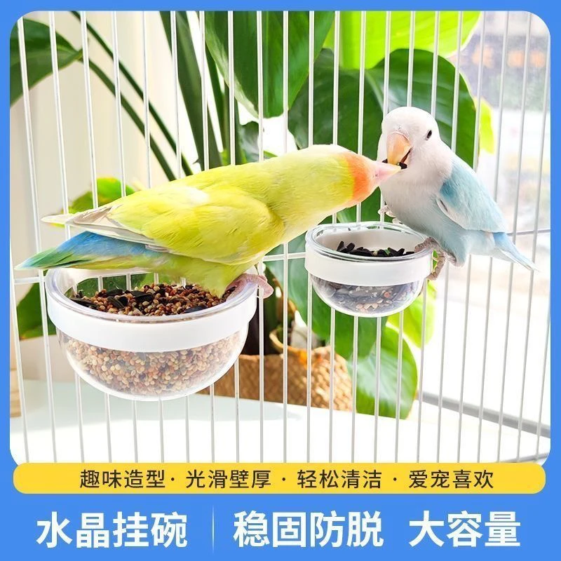保健砂蛋小米喂食器鹦鹉食盆食杯星空杯喂食器挂碗高透水晶泡泡碗