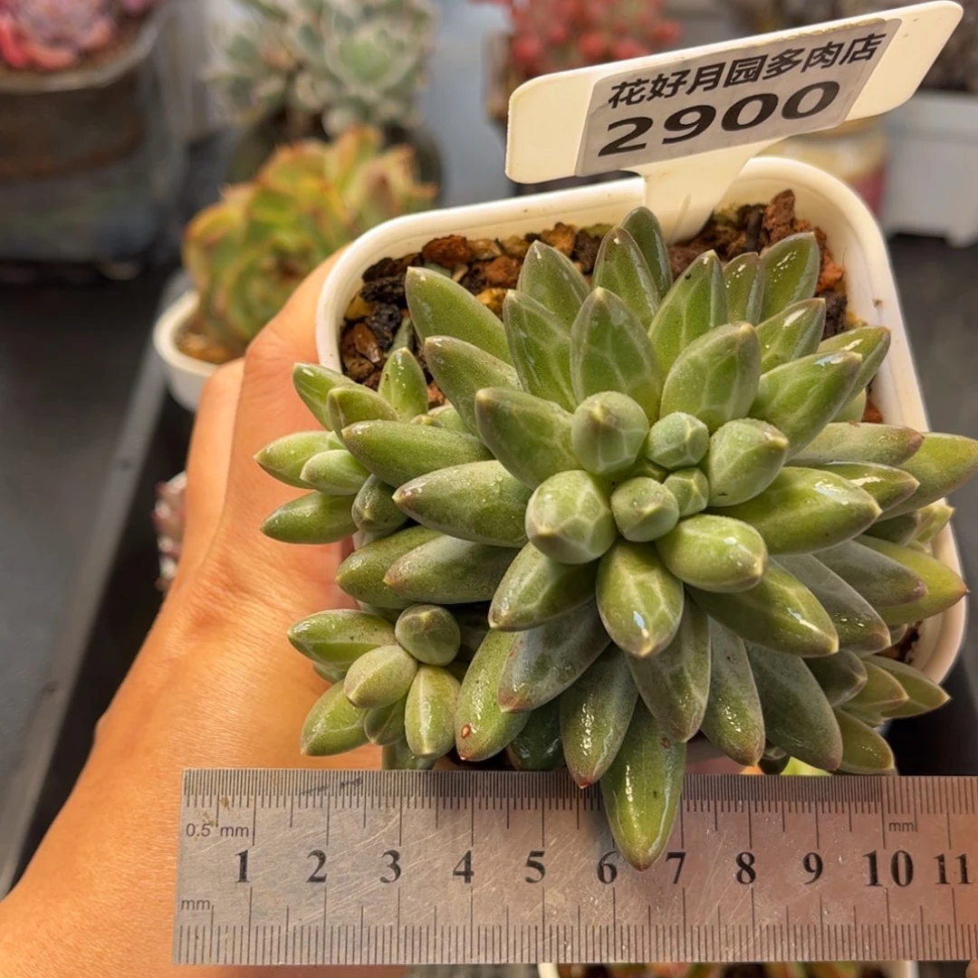 2900 满30包邮天冷地区必拍保温箱