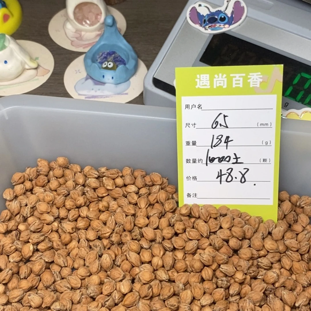 吊坠柏香籽/百香籽