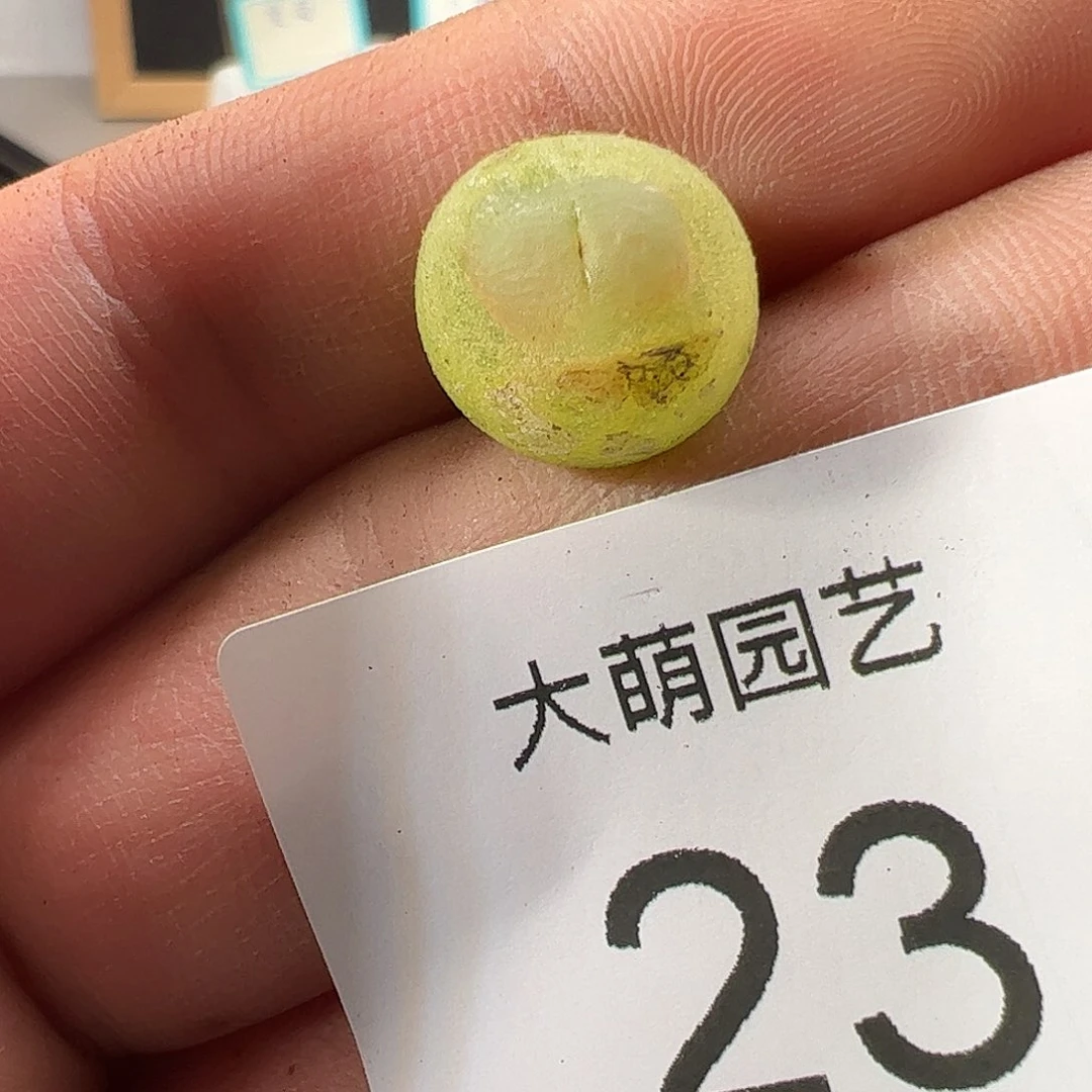 000023 一物一拍……