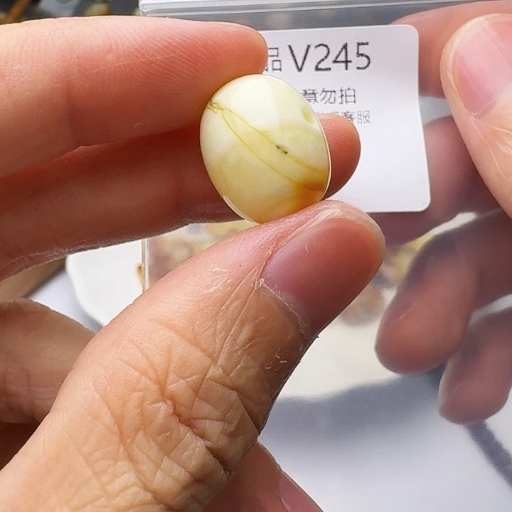裸石琥珀未镶嵌琥珀