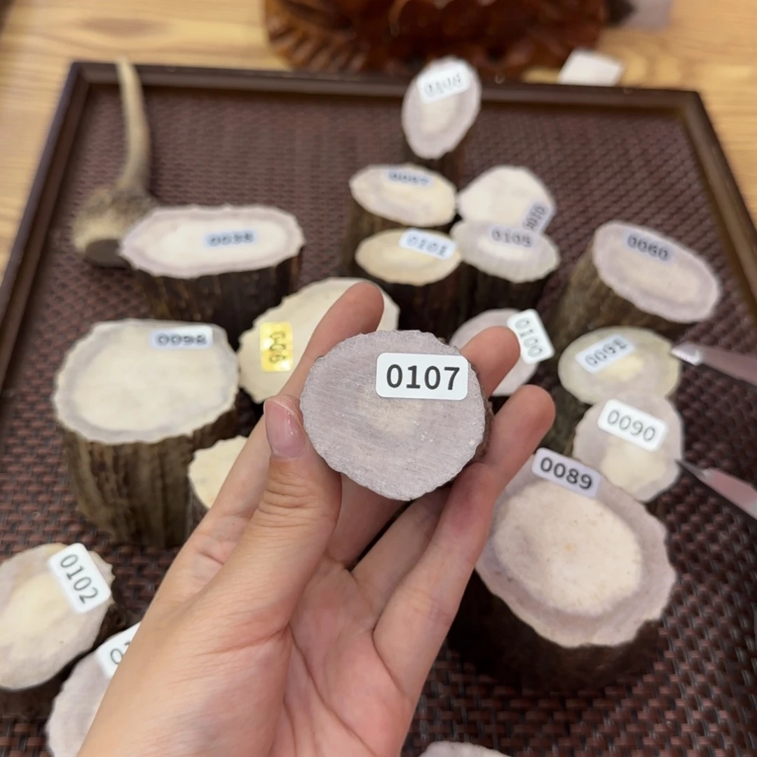 嘟***嘟鹿骨其他0107段111