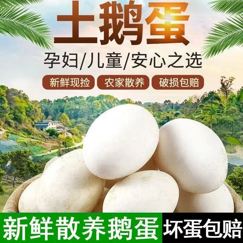 现捡现发农家散养五谷土鹅鲜鹅蛋营养丰富适合孕妇宝宝