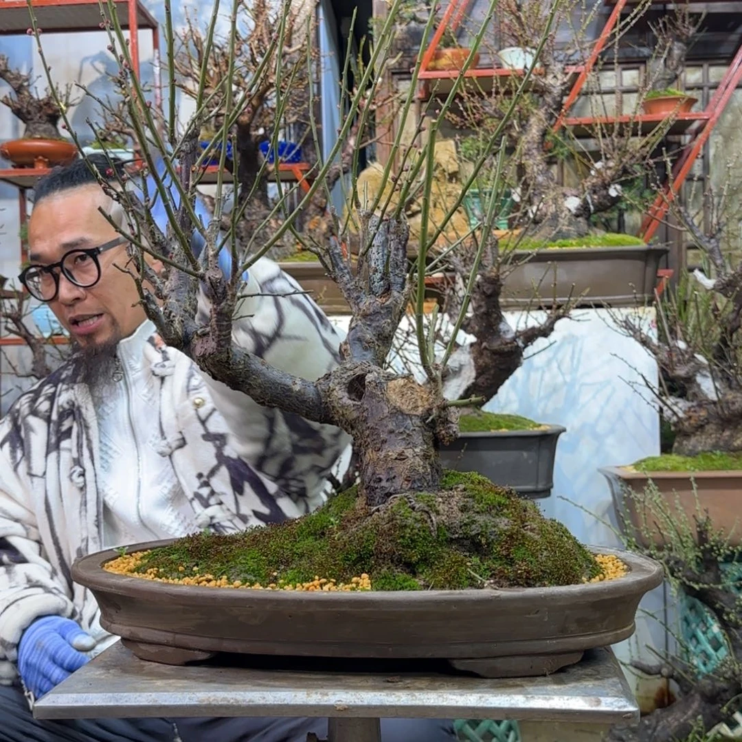 无花朵44444444444