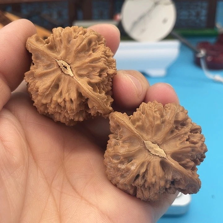 文玩核桃把件空*满天星