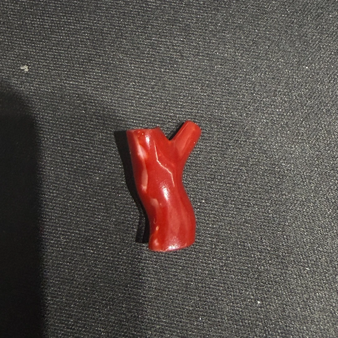 绛树珊瑚阿卡赤血随形枝枝