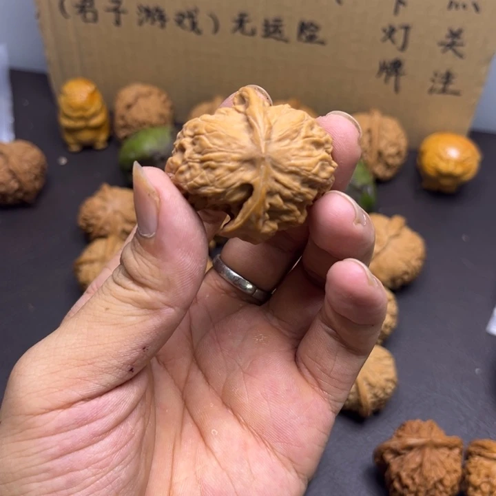 江***2菩提籽类两棱挂角